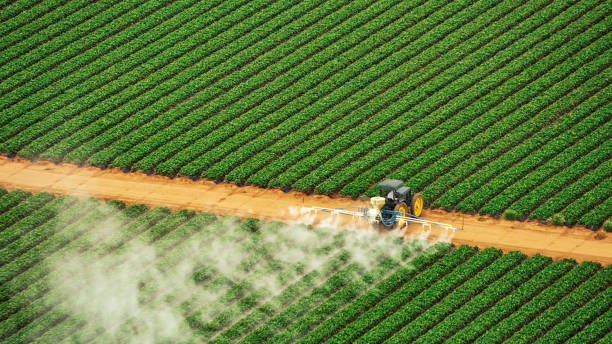 Best Mosquito Control Services  in Islamorada Village Of Islands, FL